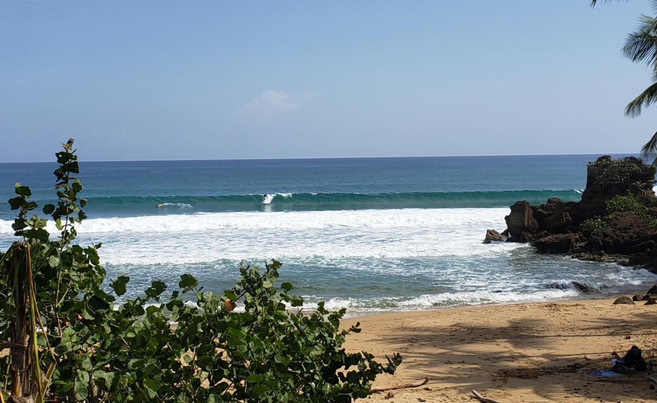 Wave View Village - Beach Front - Luxury Spot Rincón Exteriör bild