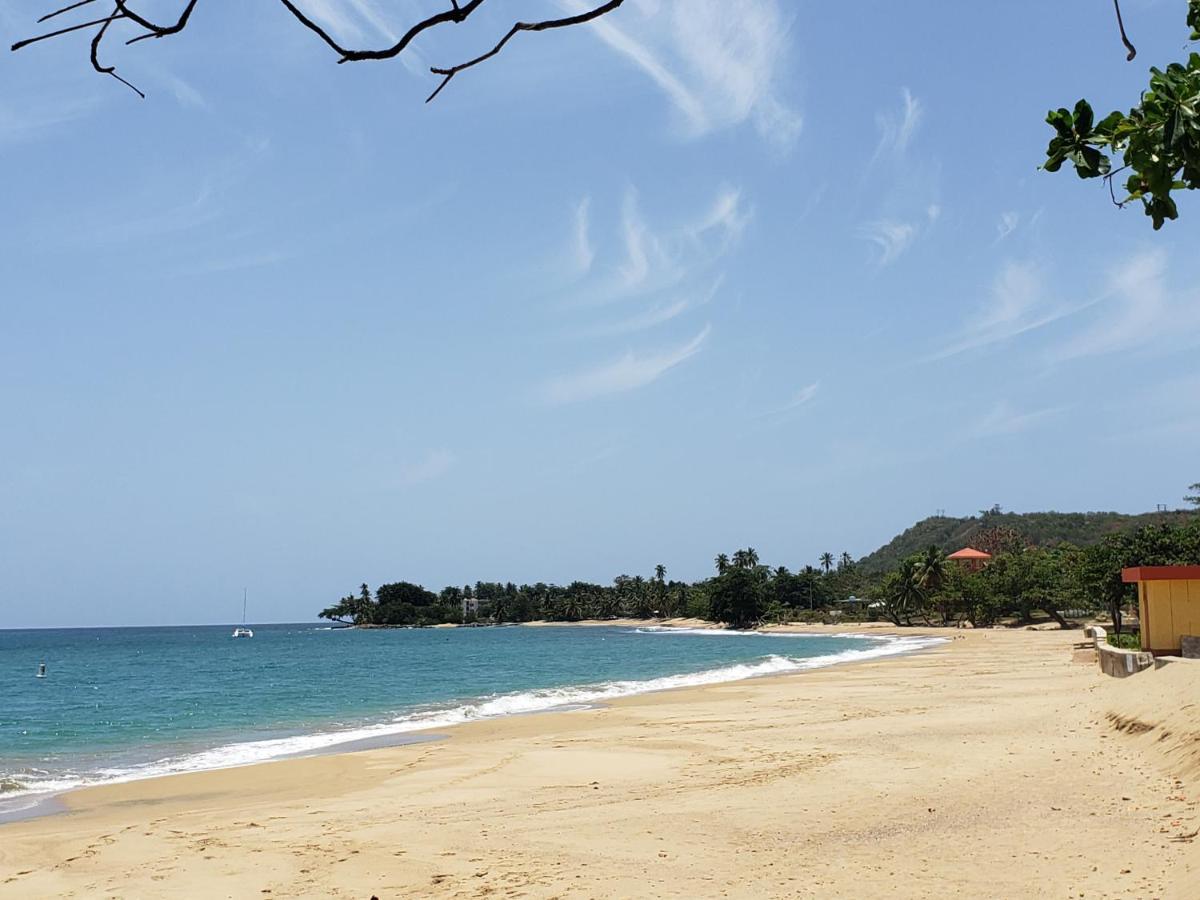Wave View Village - Beach Front - Luxury Spot Rincón Exteriör bild